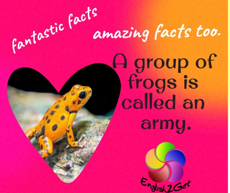 Amazing facts about frogs 🐸