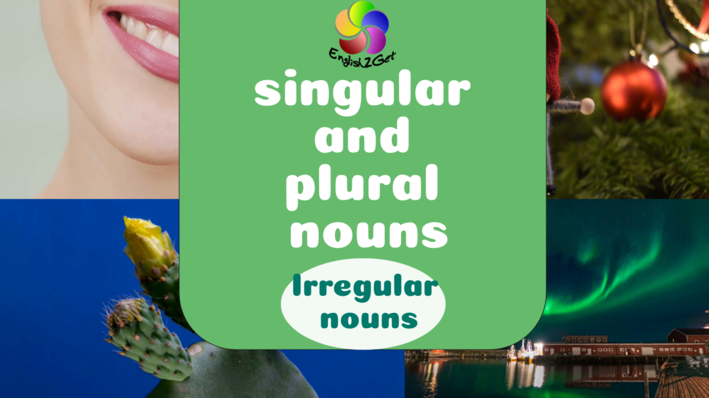 Irregular singular nouns and plural nouns