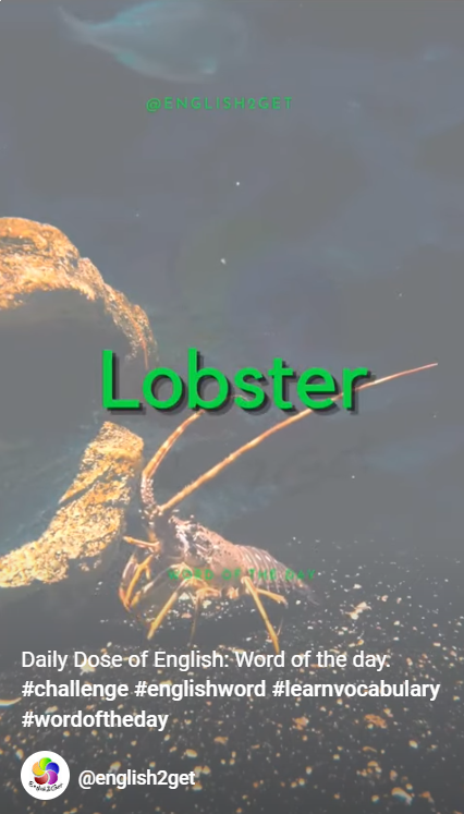 Unveiling the Culinary Treasure: ‘Lobster’ in English